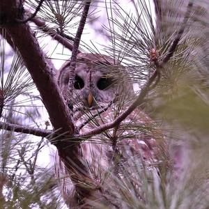 Meet your Posher, Florence